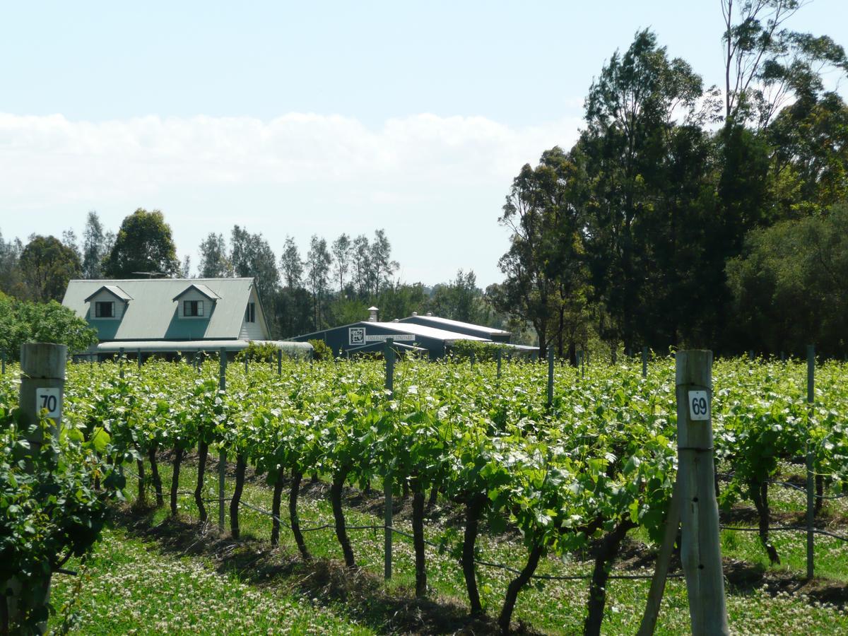 Emma'S Cottage Vineyard Lovedale Exterior foto