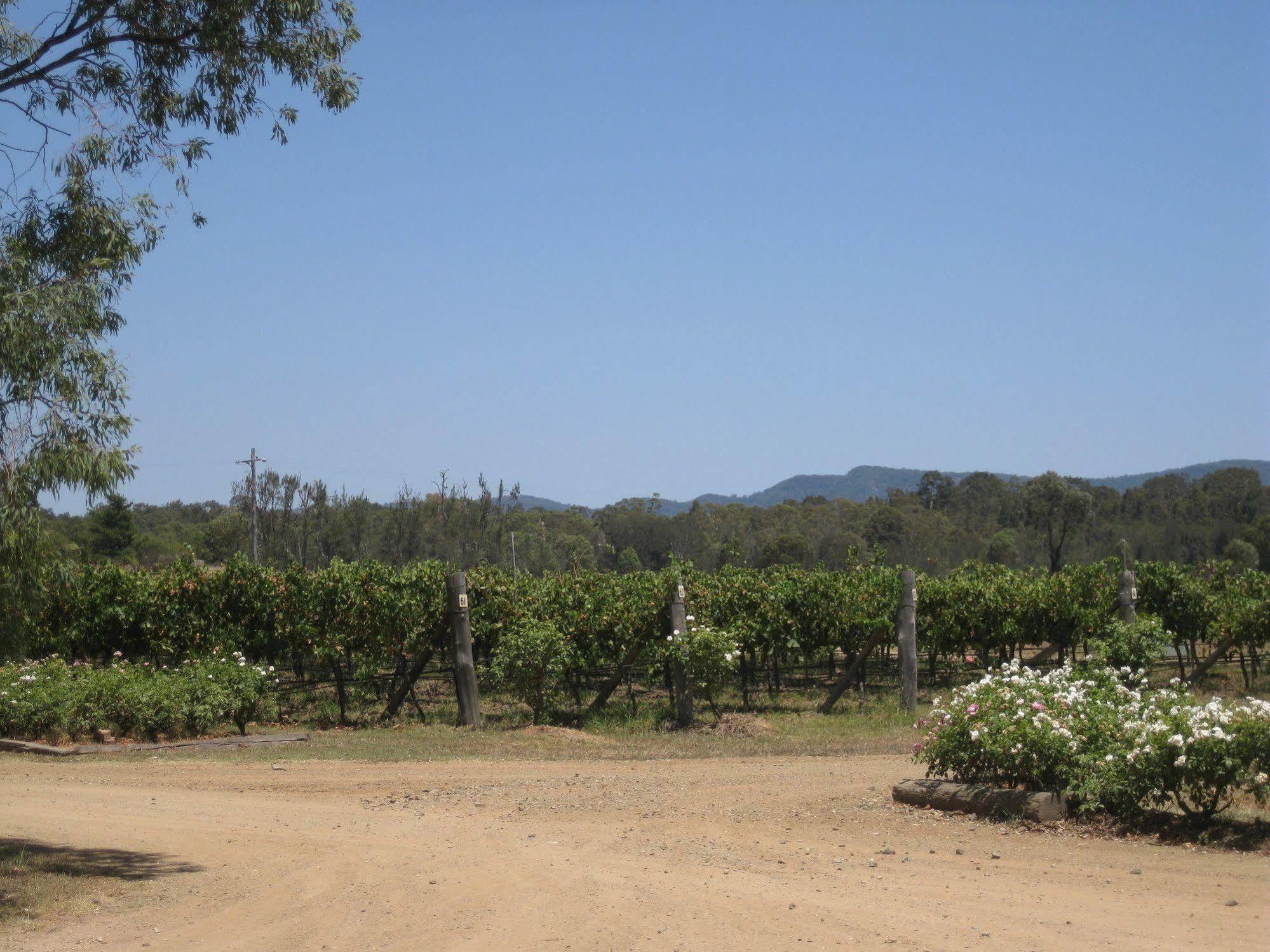 Emma'S Cottage Vineyard Lovedale Exterior foto