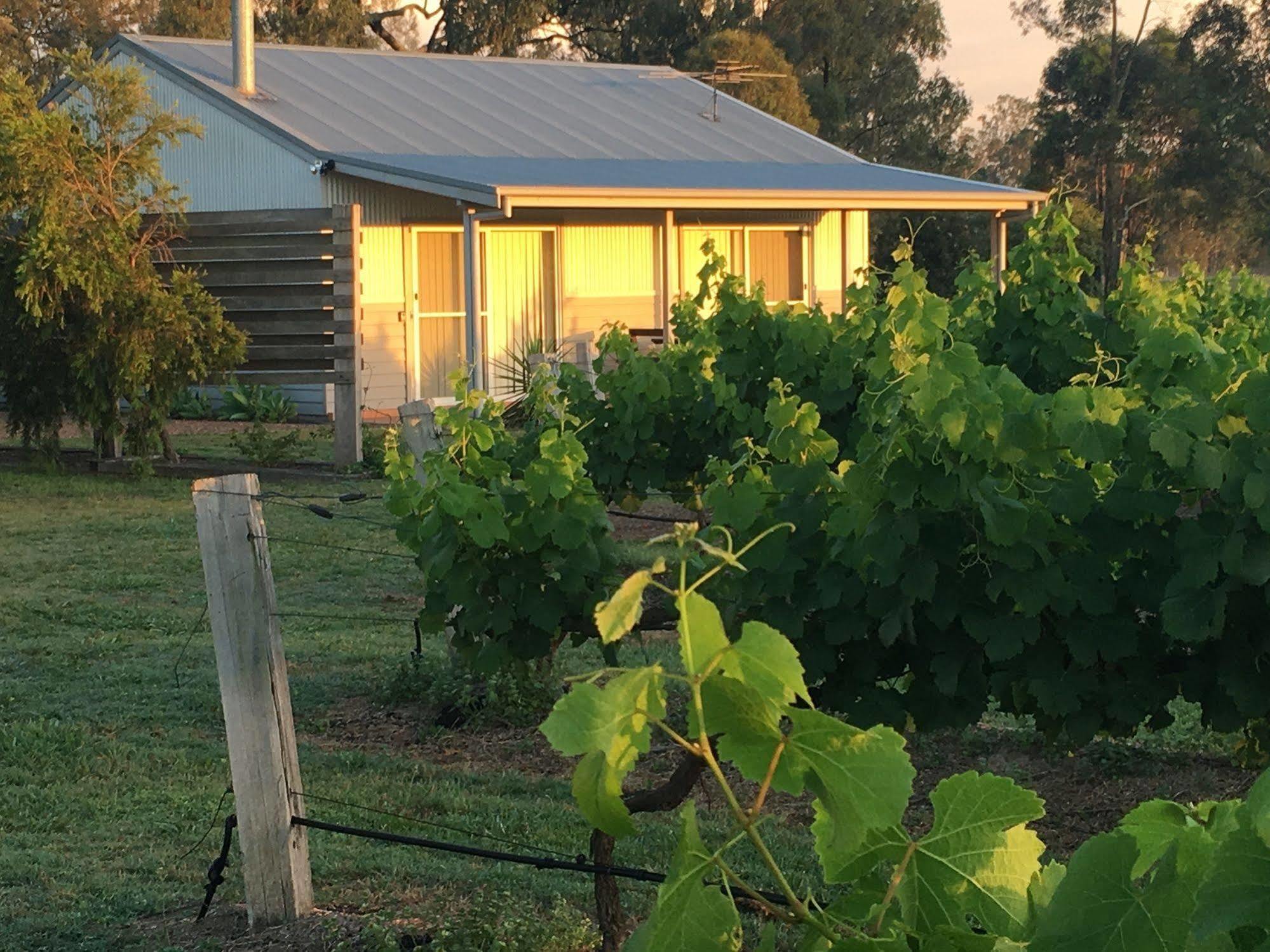 Emma'S Cottage Vineyard Lovedale Exterior foto