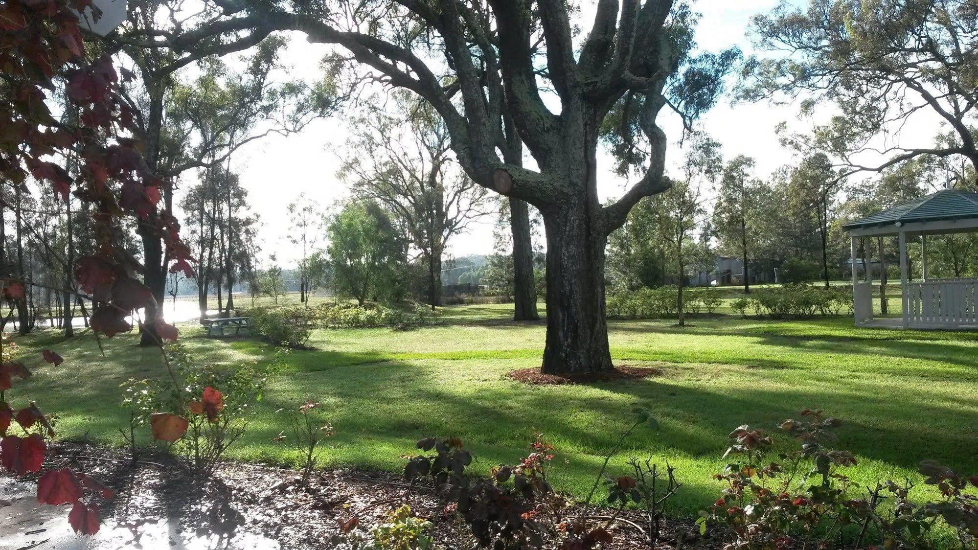 Emma'S Cottage Vineyard Lovedale Exterior foto